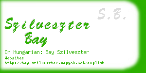 szilveszter bay business card